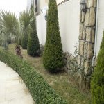 Satılır 4 otaqlı Həyət evi/villa, Mərdəkan, Xəzər rayonu 31