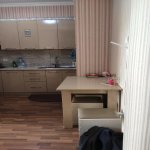 Kirayə (aylıq) 2 otaqlı Yeni Tikili, Gənclik metrosu, Nəsimi rayonu 12