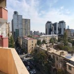 Kirayə (aylıq) 3 otaqlı Yeni Tikili, Gənclik metrosu, Nərimanov rayonu 18