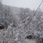 Kirayə (günlük) 4 otaqlı Həyət evi/villa Şəki 33