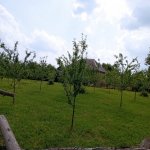 Satılır Torpaq Qəbələ 5