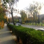 Kirayə (aylıq) 1 otaqlı Ofis, Gənclik metrosu, Nəsimi rayonu 16