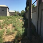 Satılır Torpaq, Bakıxanov qəs., Sabunçu rayonu 8