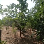 Satılır 4 otaqlı Həyət evi/villa Sumqayıt 2