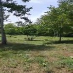 Satılır Torpaq, Masazır, Abşeron rayonu 18