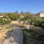 Продажа 5 комнатная Дома/Виллы, Мехдиабад, Абшерон район 15