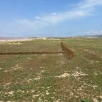 Satılır Torpaq, Masazır, Abşeron rayonu 8