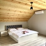 Kirayə (günlük) 4 otaqlı Həyət evi/villa Qəbələ 10