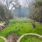 Satılır Torpaq, Bilgəh qəs., Sabunçu rayonu 7