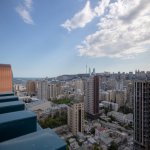 Kirayə (aylıq) 7 otaqlı Yeni Tikili, 28 May metrosu, Nəsimi rayonu 19