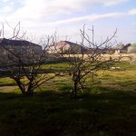 Satılır 2 otaqlı Həyət evi/villa Sumqayıt 6