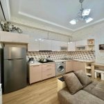 Kirayə (aylıq) 1 otaqlı Yeni Tikili, Nəriman Nərimanov metrosu, Nərimanov rayonu 5