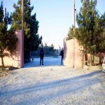 Kirayə (aylıq) Obyekt Gəncə 7