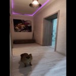 Satılır 2 otaqlı Köhnə Tikili, Nizami metrosu, Yasamal rayonu 10