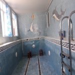 Kirayə (günlük) 7 otaqlı Bağ evi, Novxanı, Abşeron rayonu 13