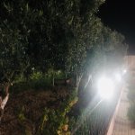 Satılır 8 otaqlı Həyət evi/villa, Buzovna, Xəzər rayonu 26