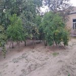 Satılır 3 otaqlı Bağ evi, Maştağa qəs., Sabunçu rayonu 21
