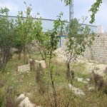 Satılır 6 otaqlı Həyət evi/villa, Zabrat qəs., Sabunçu rayonu 23