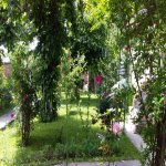 Kirayə (günlük) 2 otaqlı Həyət evi/villa Qəbələ 6