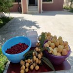 Satılır 6 otaqlı Həyət evi/villa, Qaraçuxur qəs., Suraxanı rayonu 10