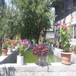 Kirayə (günlük) 3 otaqlı Həyət evi/villa Şəki 7