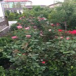 Satılır 6 otaqlı Həyət evi/villa, Novxanı, Abşeron rayonu 6