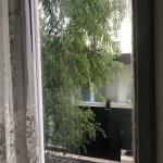Kirayə (aylıq) 1 otaqlı Köhnə Tikili, Gənclik metrosu, Nərimanov rayonu 12