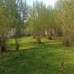 Satılır 4 otaqlı Həyət evi/villa Qəbələ 4