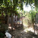 Satılır 3 otaqlı Bağ evi, Binə qəs., Xəzər rayonu 7