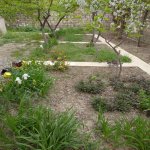 Satılır 5 otaqlı Həyət evi/villa, Avtovağzal metrosu, Biləcəri qəs., Binəqədi rayonu 4