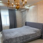 Kirayə (aylıq) 2 otaqlı Yeni Tikili, Gənclik metrosu, Nərimanov rayonu 10