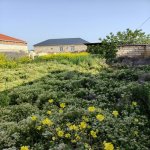 Satılır Torpaq, Novxanı, Abşeron rayonu 1