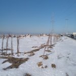 Satılır Torpaq, Neftçilər metrosu, Saray, Abşeron rayonu 6