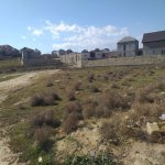 Satılır Torpaq, Saray, Abşeron rayonu 2