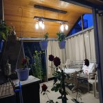 Kirayə (günlük) 2 otaqlı Həyət evi/villa Qusar 2