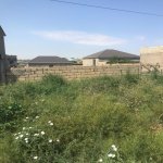 Satılır Torpaq, Avtovağzal metrosu, Novxanı, Abşeron rayonu 5
