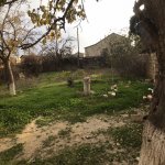 Satılır Torpaq, Fatmayi, Abşeron rayonu 5