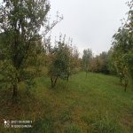 Satılır Torpaq Quba 7