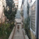 Satılır 6 otaqlı Həyət evi/villa, Qaraçuxur qəs., Suraxanı rayonu 6