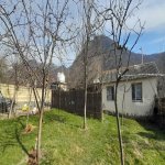 Kirayə (günlük) 5 otaqlı Həyət evi/villa Qax 5