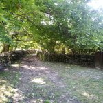 Kirayə (günlük) 2 otaqlı Həyət evi/villa Zaqatala 15