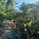 Kirayə (günlük) 3 otaqlı Həyət evi/villa İsmayıllı 3