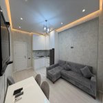 Kirayə (aylıq) 2 otaqlı Yeni Tikili, Nəriman Nərimanov metrosu, Nərimanov rayonu 4