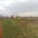 Satılır Torpaq Quba 23