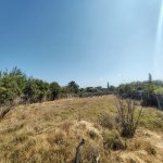 Satılır Torpaq, Novxanı, Abşeron rayonu 1