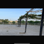 Satılır 12 otaqlı Həyət evi/villa, Saray, Abşeron rayonu 4