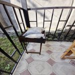 Kirayə (günlük) 3 otaqlı Həyət evi/villa Qəbələ 23