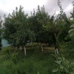 Kirayə (günlük) 2 otaqlı Həyət evi/villa İsmayıllı 7
