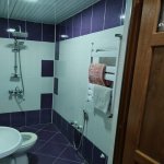 Kirayə (günlük) 6 otaqlı Bağ evi Qəbələ 15