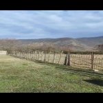 Satılır Torpaq Zaqatala 5